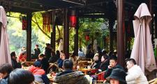 成都養(yǎng)生好去處：茶館品茗體驗悠閑生活與健康之道